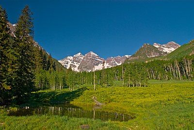 An Alpine Meadow