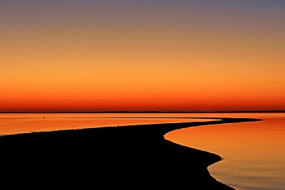 Sandbar & Lone Heron