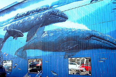 WHALING    WALL 