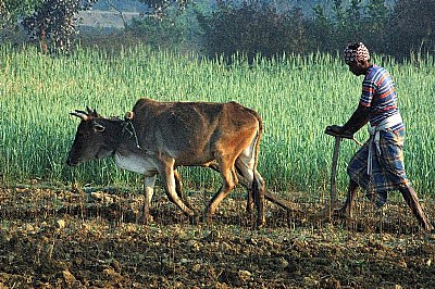 Ploughing