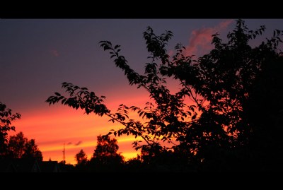 Evening Red