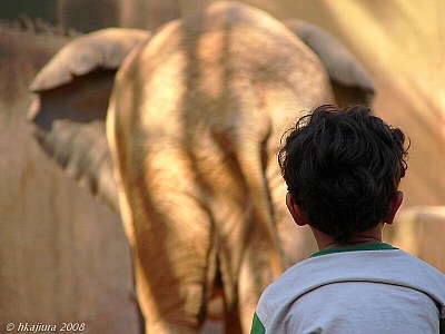 On his father´s shoulder