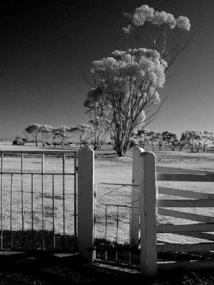 Kissing Gate - Truganina Cemetery