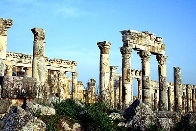 Weeds, Rocks & Ruins