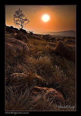 Golden Mountain Sunset