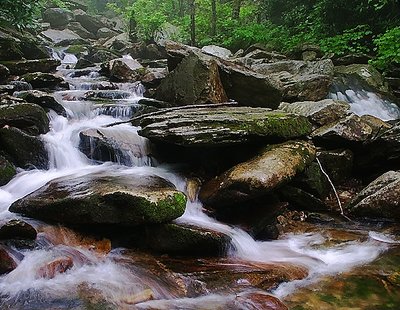 Upper Boone Fork River