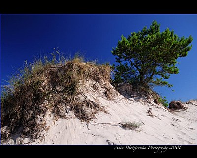 dunes # 6