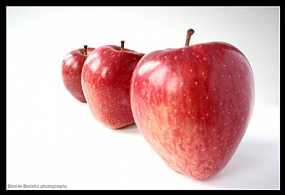 Mollat