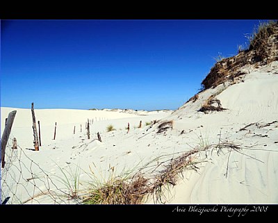 dunes # 7