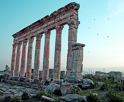 Columns & Birds