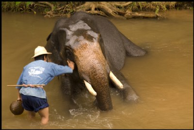Thailand is Different #4