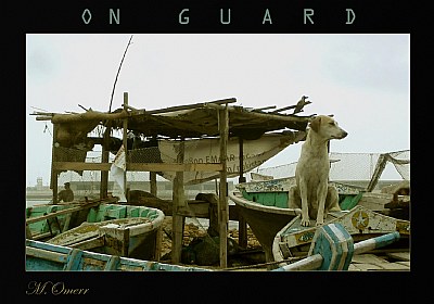 On guard