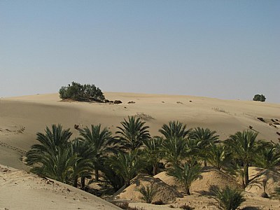 Sinai Egyptian lovely land