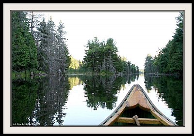 View From My Canoe
