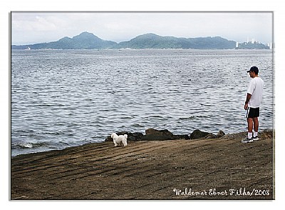 The sea,the dog and the man.