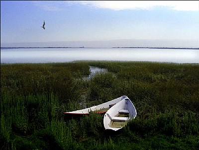 newburyport