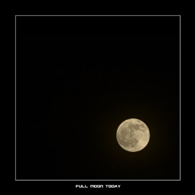 Full Moon Tonight 