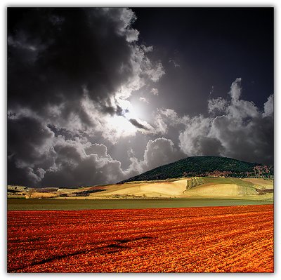 Tribute to Franco Fontana II