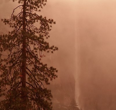 Misty Falls of Yosemite Valley