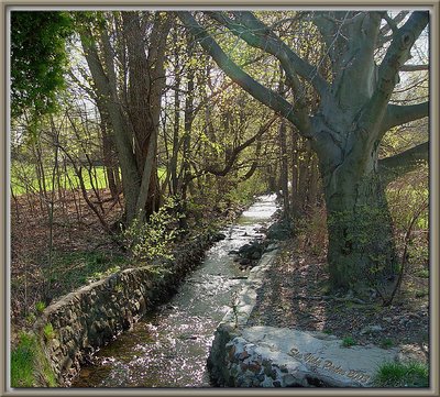 Deserted Brook (Spring)