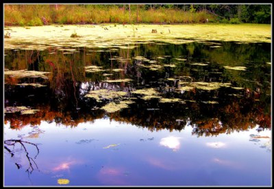 Golden Pond