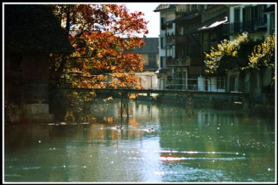 Calm waterscape