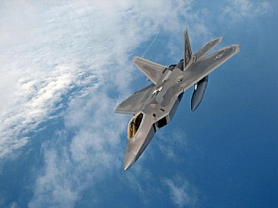 A Raptor over the Pacific