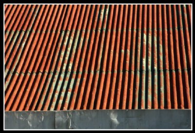 tin roof tasmania