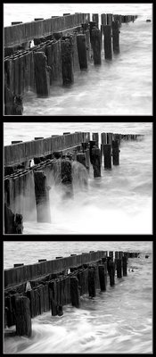 Forgotten Pier: Monochromatic Triptych