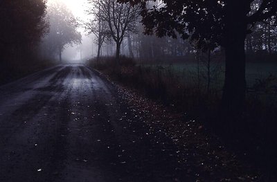 Misty road