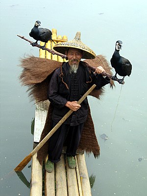 Cormoran fisherman