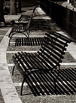 Midday Benches