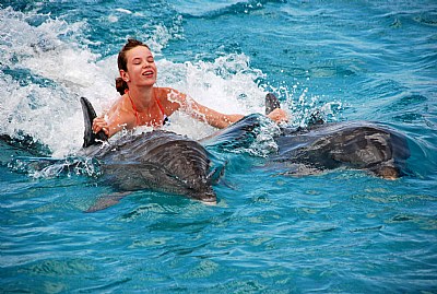 Playing with Dolphins