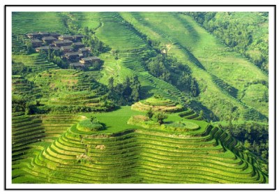 Rice Terraces