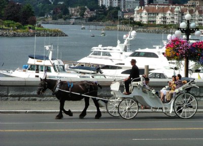 Harbour Scene