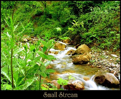 Small Stream