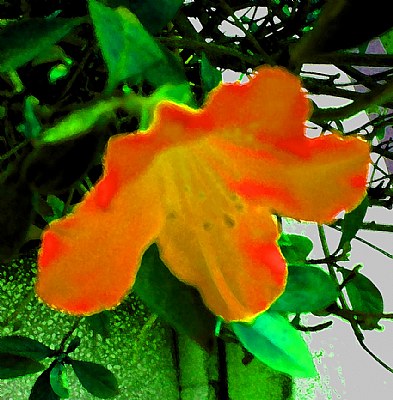 Pictrial Flower