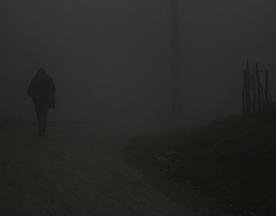 alone in the mist