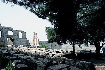 S Symeon Basilicas