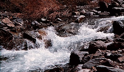 A river in Saudi Arabia