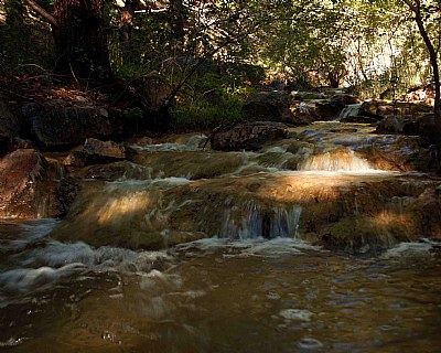 Garden Canyon Stream