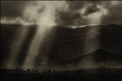 into the light-1