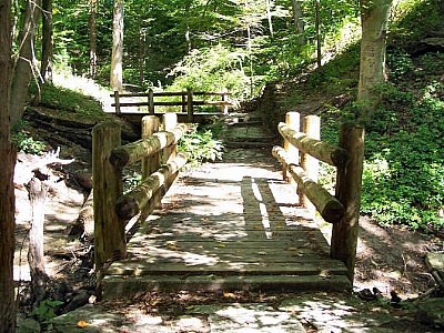the bridge beyond