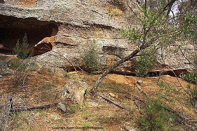 Rock In Outcrop