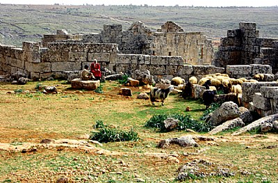 Ruins & Shepherds