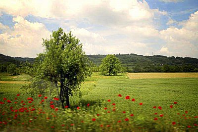 central Serbia