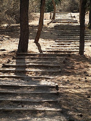 the way