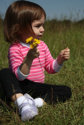 Pickin' Flowers