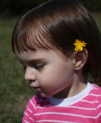 Pickin' Flowers