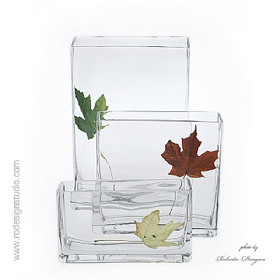 glass and leaves